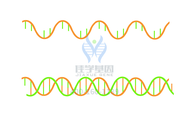 【佳學基因檢測】佳靜安定基因檢測