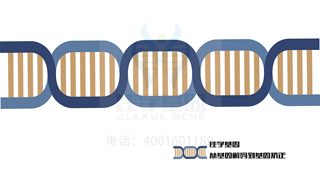 【佳學基因檢測】佳胃德片基因檢測