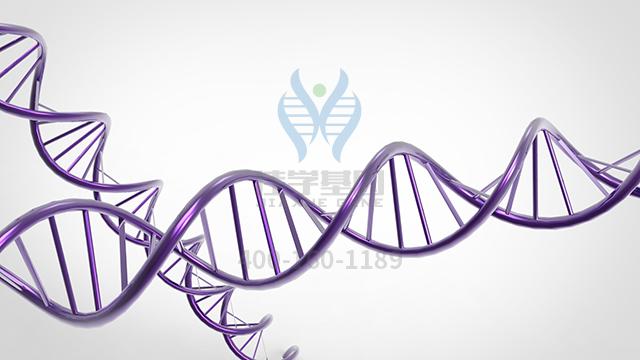 【佳學(xué)基因檢測】甲基纖維素滴眼劑基因檢測