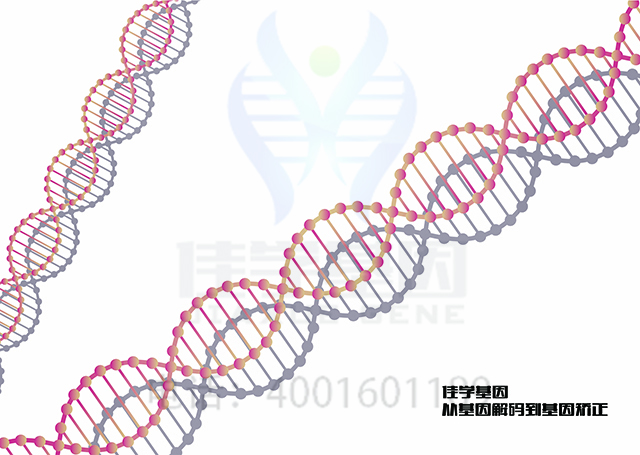 【佳學(xué)基因檢測】做馬凡綜合癥樣疾病基因解碼、<a href=http://vigrxplusreviewsreal.com/tk/jiema/cexujishu/2021/31933.html>基因檢測</a>方便嗎？