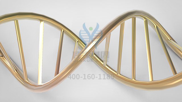 【佳學基因檢測】視網(wǎng)膜色素變性9型基因解碼、基因檢測的報告看得懂嗎？