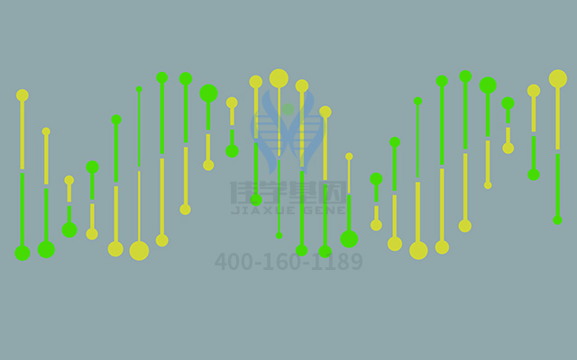 【佳學(xué)基因檢測(cè)】如何區(qū)分腎上腺功能不全先天性46XY（部分或有效）性逆轉(zhuǎn)基因解碼、<a href=http://vigrxplusreviewsreal.com/tk/jiema/cexujishu/2021/31933.html>基因檢測(cè)</a>？