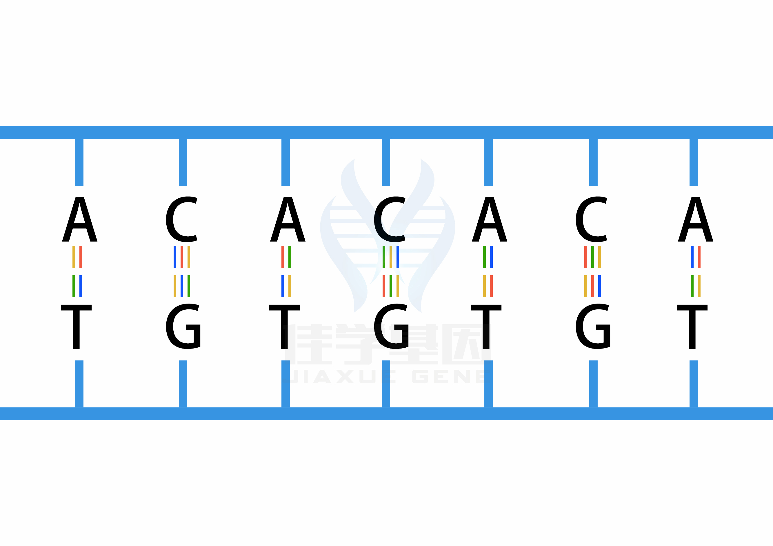 <b>【佳學基因檢測</b>