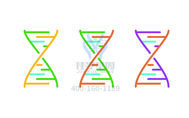 【佳學(xué)基因檢測(cè)】糖尿病1型易感性基因解碼、<a href=http://vigrxplusreviewsreal.com/tk/jiema/cexujishu/2021/31933.html>基因檢測(cè)</a>報(bào)告時(shí)間是一樣的嗎？