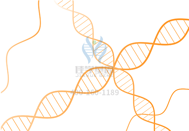 【佳學基因檢測】做BirkBa??rel智力障礙性畸形綜合征基因解碼、<a href=http://vigrxplusreviewsreal.com/tk/jiema/cexujishu/2021/31933.html>基因檢測</a>采用什么樣品？