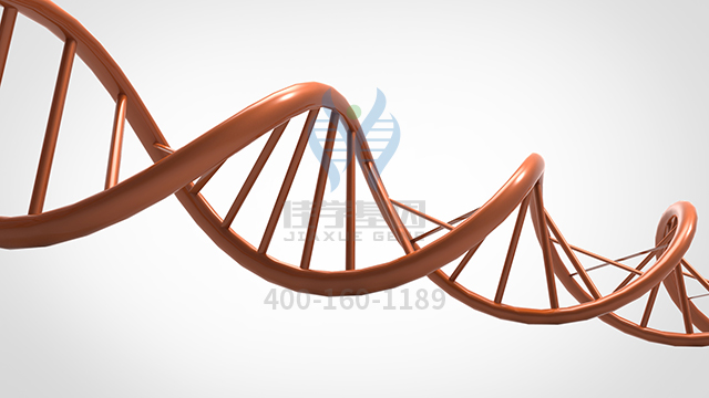 【佳學(xué)基因檢測】做胰腺囊腫基因解碼、<a href=http://vigrxplusreviewsreal.com/tk/jiema/cexujishu/2021/31933.html>基因檢測</a>的費用是多少？