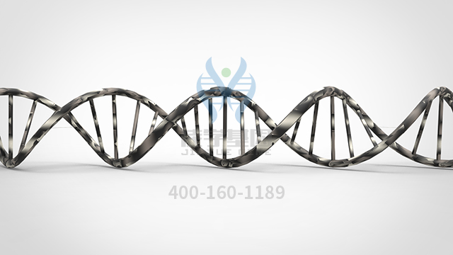 <b>【佳學基因檢測】瞼裂狹小綜合征1型基因解碼、基因檢測的報告有人解讀嗎？</b>