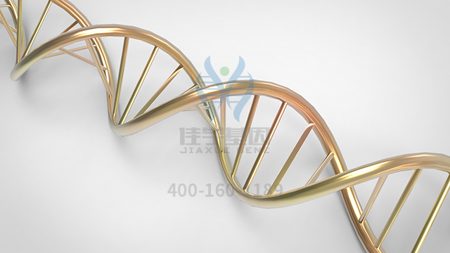 【佳學(xué)基因檢測】做孔源性視網(wǎng)膜脫離常染色體顯性基因解碼、<a href=http://vigrxplusreviewsreal.com/tk/jiema/cexujishu/2021/31933.html>基因檢測</a>的費(fèi)用是多少？