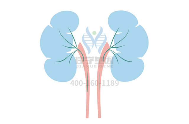 【佳學(xué)基因檢測】常染色體顯性廣泛性甲狀腺激素抵抗基因解碼、<a  data-cke-saved-href=http://vigrxplusreviewsreal.com/tk/jiema/cexujishu/2021/31933.html href=http://vigrxplusreviewsreal.com/tk/jiema/cexujishu/2021/31933.html>基因檢測</a>的報告有人解讀嗎？