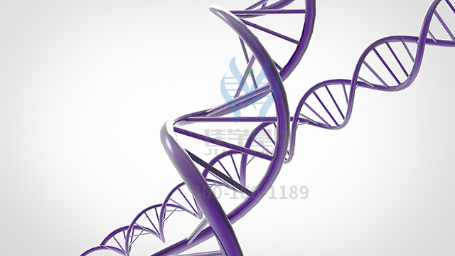 【佳學(xué)基因檢測】如何做甲狀腺激素抵抗全身性抵抗型基因解碼、<a  data-cke-saved-href=http://vigrxplusreviewsreal.com/tk/jiema/cexujishu/2021/31933.html href=http://vigrxplusreviewsreal.com/tk/jiema/cexujishu/2021/31933.html>基因檢測</a>？