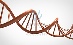 【佳學(xué)基因檢測(cè)】怎么做常染色體隱性廣泛性甲狀腺激素抵抗基因解碼、<a href=http://vigrxplusreviewsreal.com/tk/jiema/cexujishu/2021/31933.html>基因檢測(cè)</a>?