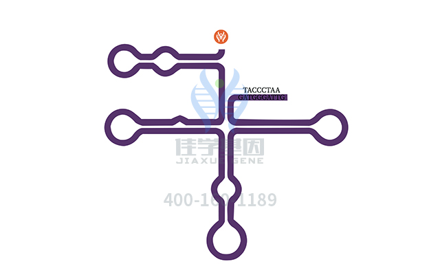 【佳學基因檢測】做阿拉吉綜合征2型基因解碼、<a href=http://vigrxplusreviewsreal.com/tk/jiema/cexujishu/2021/31933.html>基因檢測</a>需要到總部嗎？