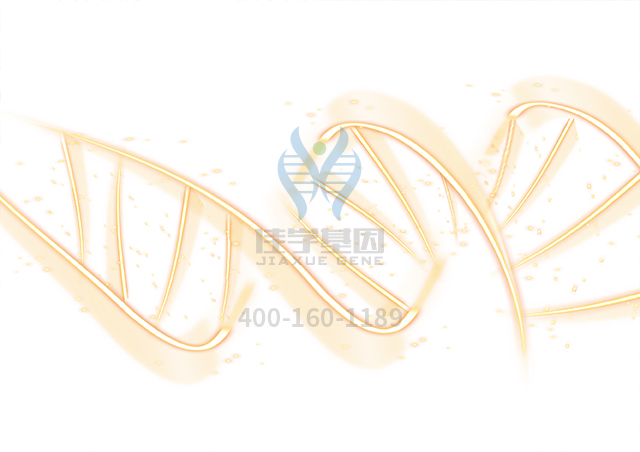 【佳學(xué)基因檢測】怎樣選擇SCIANNA血型系統(tǒng)SC：-12基因解碼、<a href=http://vigrxplusreviewsreal.com/tk/jiema/cexujishu/2021/31933.html>基因檢測</a>？