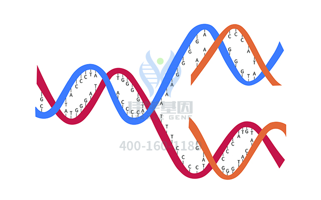 【佳學(xué)基因檢測(cè)】PCR突變檢測(cè)ATP5F1E基因有突變，如何解讀？