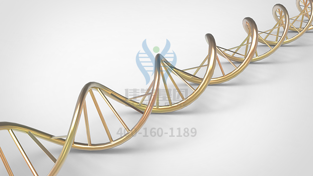 【佳學(xué)基因檢測】做先天性短腸綜合征X連鎖基因解碼、<a href=http://vigrxplusreviewsreal.com/tk/jiema/cexujishu/2021/31933.html>基因檢測</a>的費用是多少？